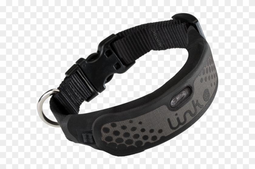 Link Akc Collars Clipart