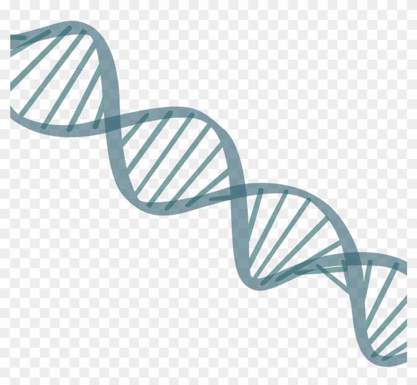 Graf For Web60-01 - White Dna Png Clipart