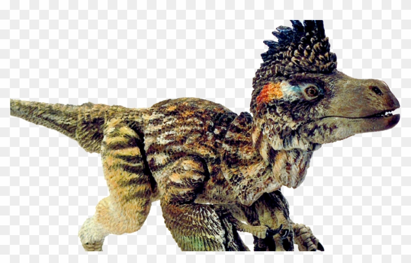 Beast Of The Mesozoic Velociraptor Clipart #3164931