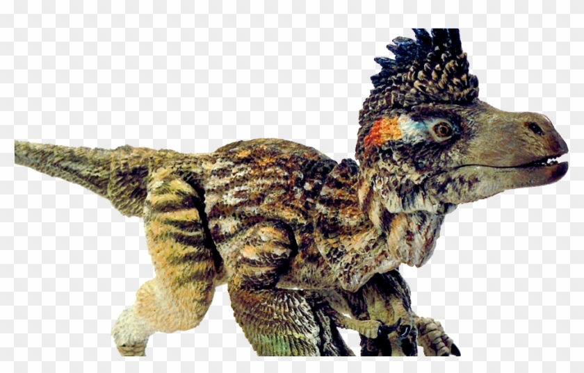 Beast Of The Mesozoic Velociraptor Clipart