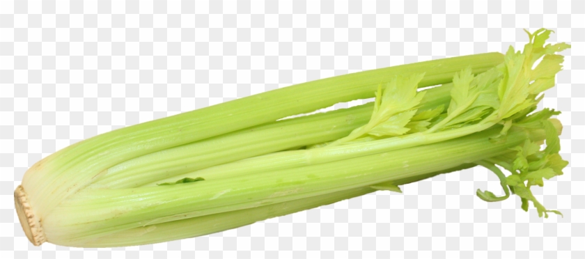 Celery Transparent - Chard Clipart