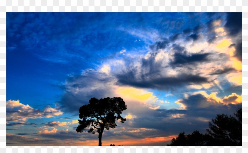 Score 50% - New Wallpaper For Pc Clipart #3166939