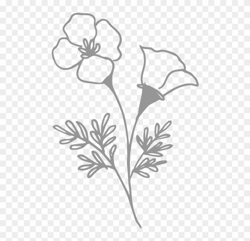 Petal Drawing Buttercup - Buttercup Clipart