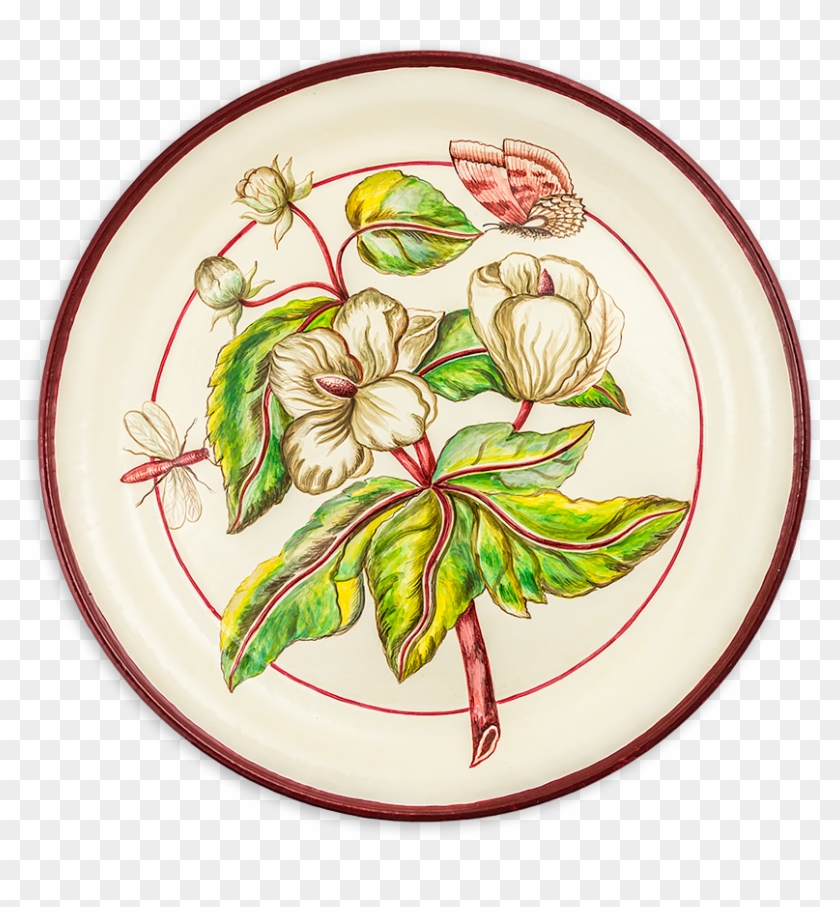 Tol-34 Chelsea Peony - Plate Clipart #3169142
