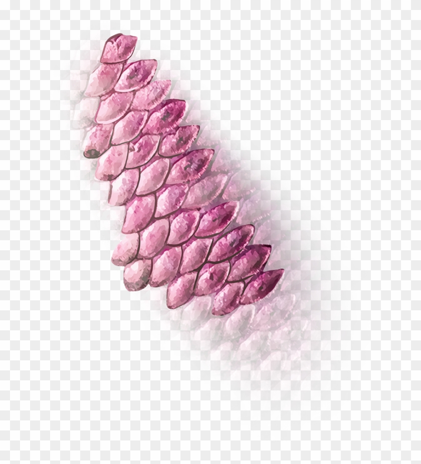 Must Follow N Share - Lavender Clipart