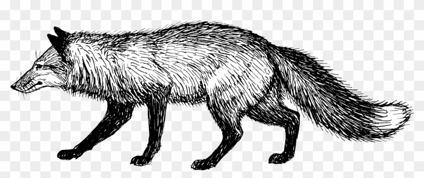 Fox - Fox Black White Png Clipart