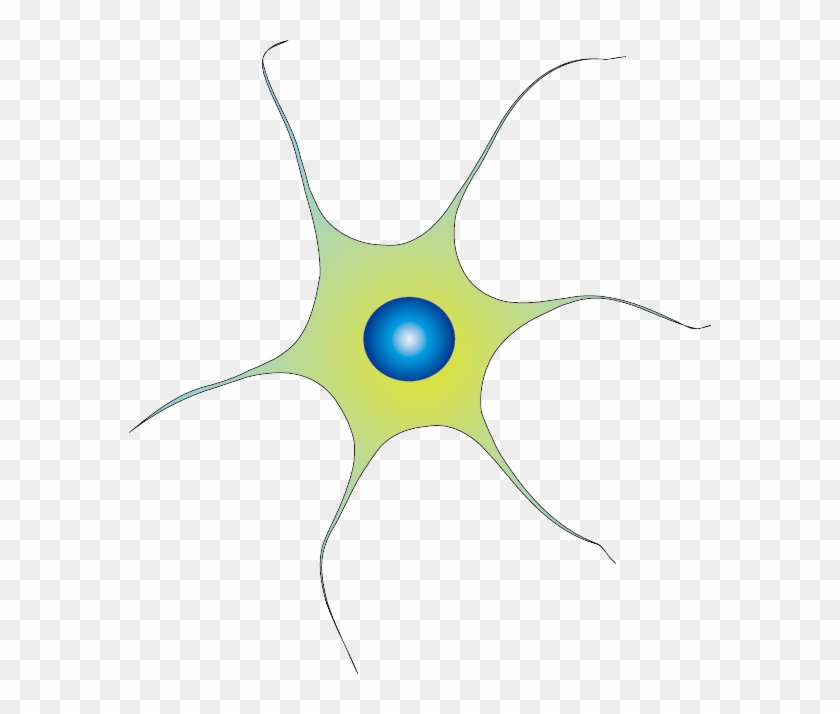 File Wikimedia Commons Neuronpng Transparent Background - Circle Clipart #3171474