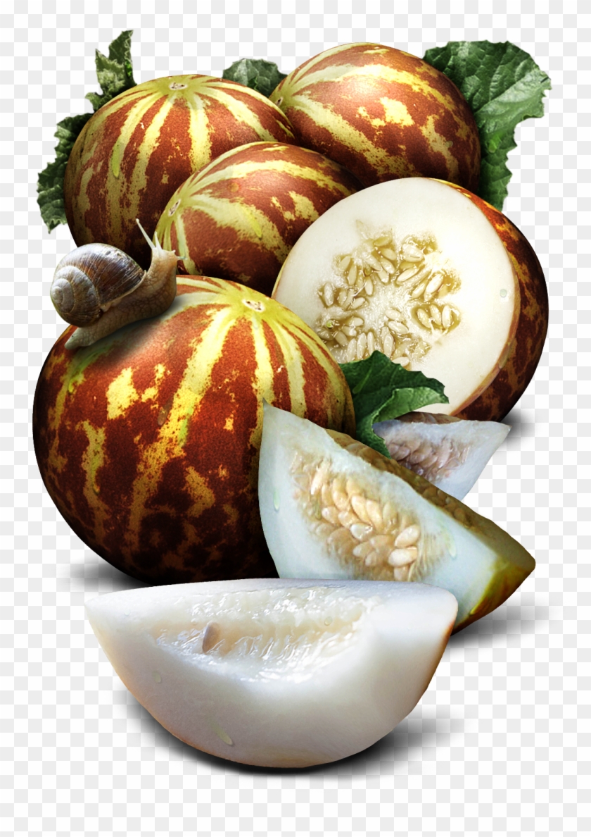 Tigger Melon Seeds For Planting , Png Download Clipart