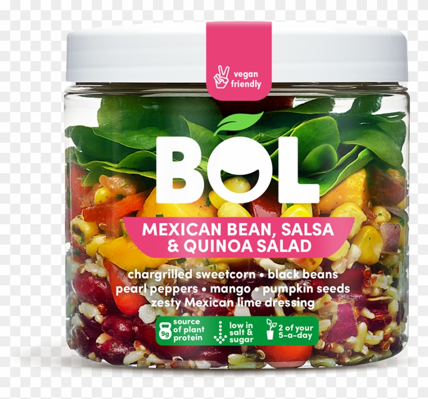Mexican Bean, Salsa & Quinoa Salad Clipart #3175190