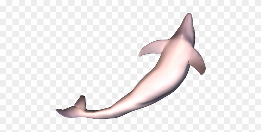 66k Dolphin11 Kpl - Wholphin Clipart