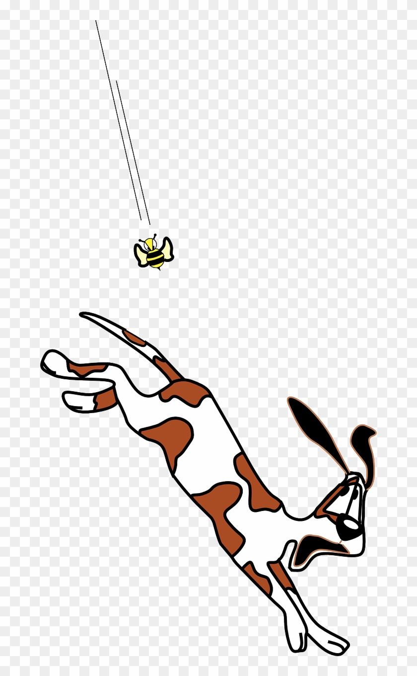 Angry Dog Running Bee Chasing Png Image - Clip Art Transparent Png