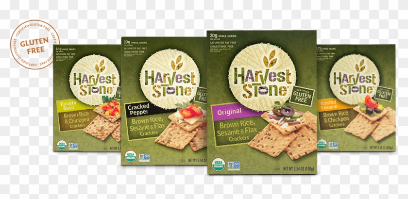 Harvest Stone Crackers Crafted Without Compromise - Go Raw Sprouted Crackers Clipart #3177087