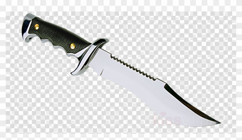 Flag Of The Philippines Transparent Clipart #3177118