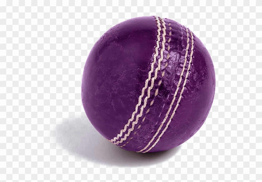 Our Cricket Partnership - College Softball Clipart