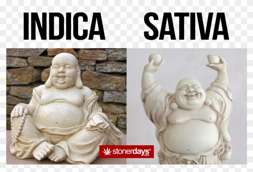 #sativa Who Do You Likepic Clipart