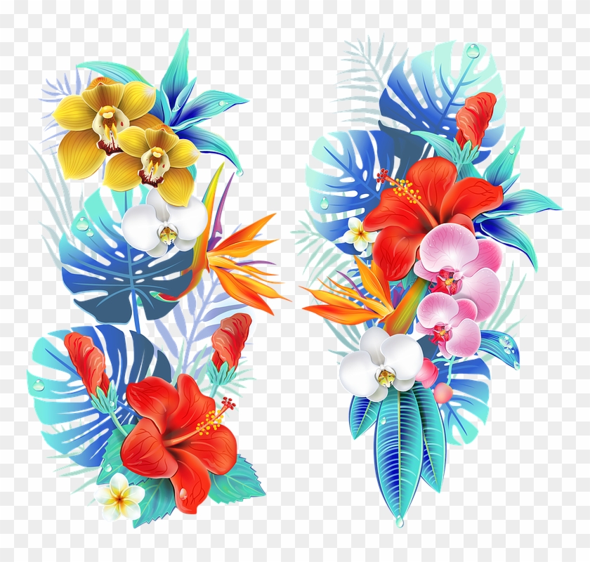Tropical, Medellin, Flowers, Fair Of Flowers, Field - Dessin Fleur Tropicale Clipart #3179910