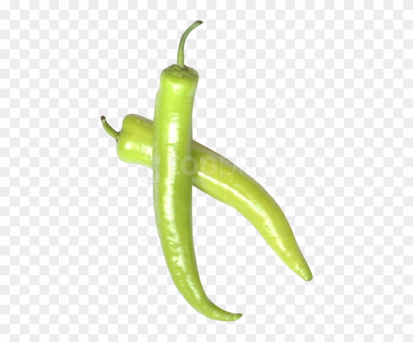 Free Png Download Green Chili Pepper Png Images Background - Green Chili Pepper Png Clipart