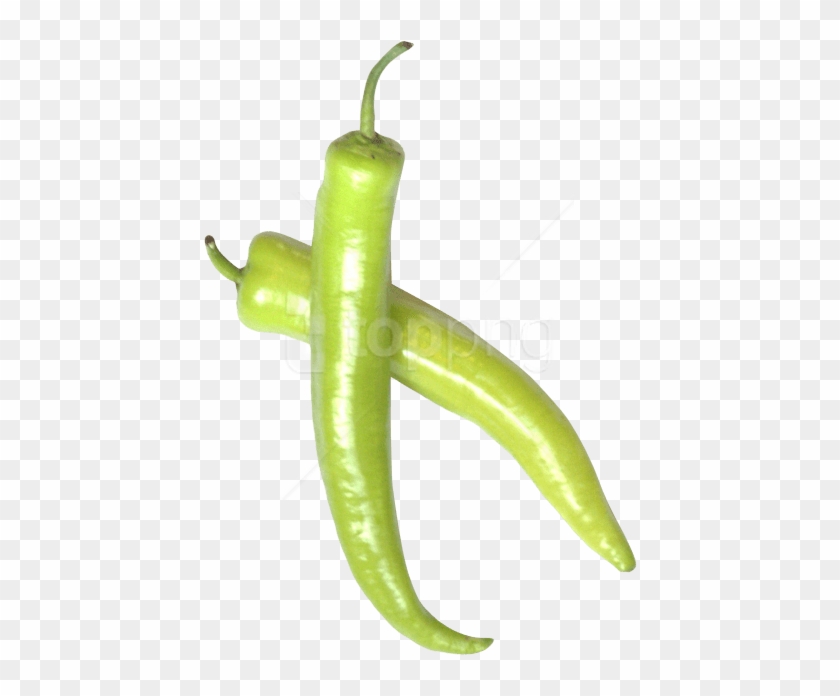 Free Png Download Green Chili Pepper Png Images Background - Green Chili Pepper Png Clipart #3180749