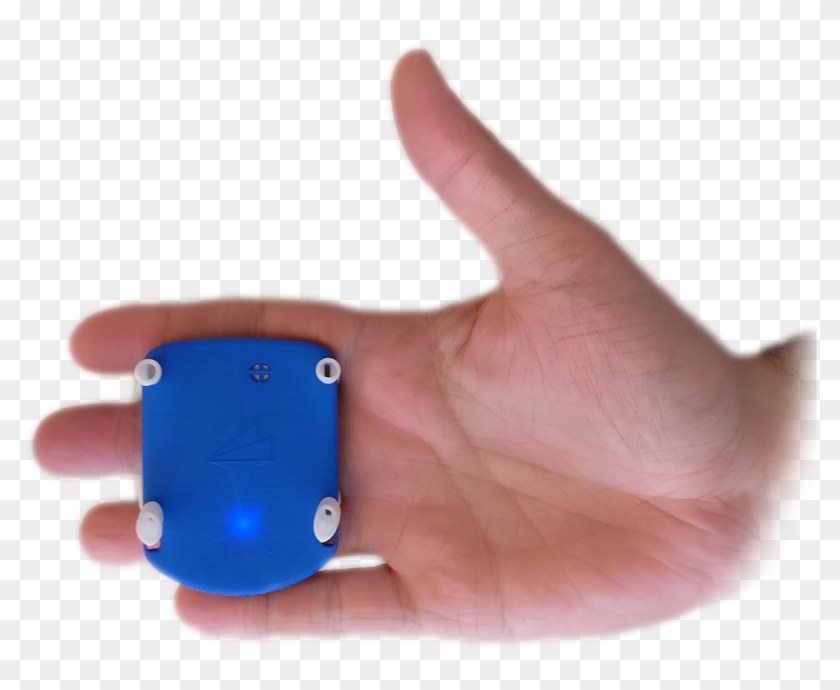 Triathletes, Personal Swim Trainers And Club Swim Coaches - Smart Paddle Swimming Clipart