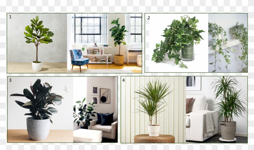 Plants - Interior Design Clipart