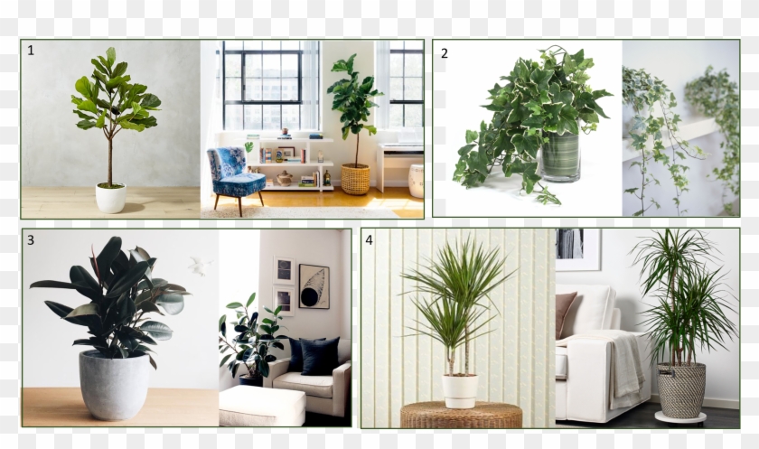Plants - Interior Design Clipart #3182123