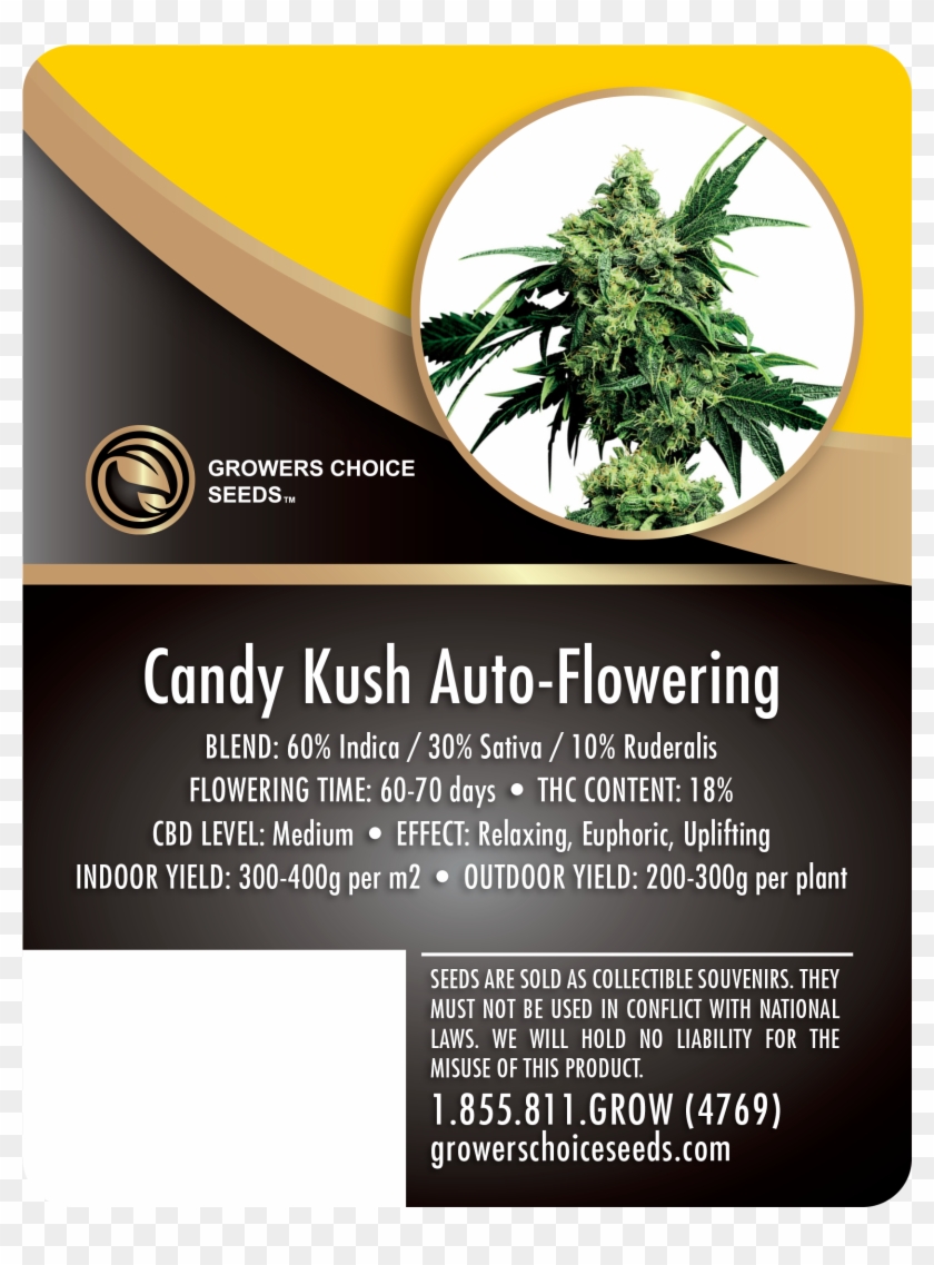 Sour Kush Autoflower Clipart #3182327