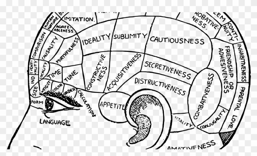 Circle Clipart #3182330