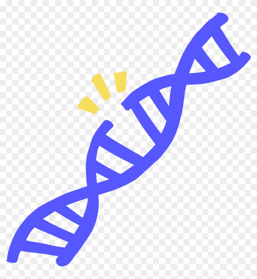 When Only One Strand Of Dna Is Broken, There Is A Gap - Dna Damage Icon Clipart