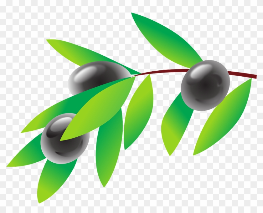 Olive Branch Oil Cooking Png Image - Olives Clipart Transparent Png #3186242