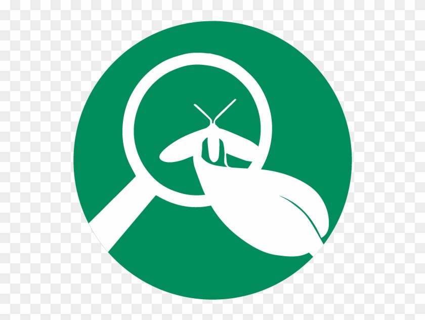 Gc 4 Pillars Of Learning Icons 04 - Emblem Clipart