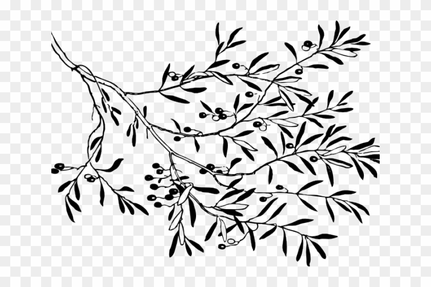 Drawn Branch Olive Branch - Branches Clipart Black And White - Png Download #3186281