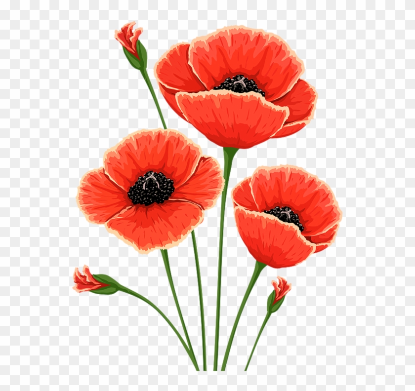 Cross Stitch Pattern Poppy Clipart