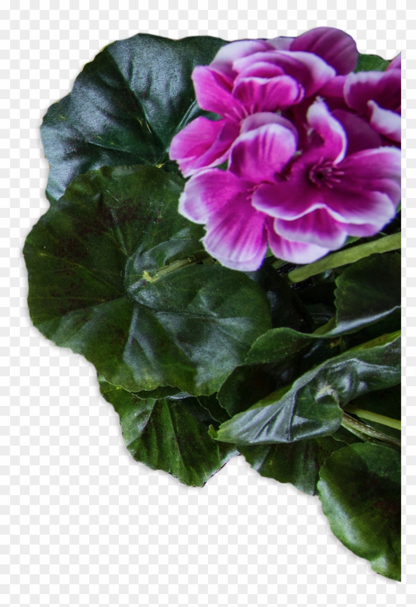 Left 03 Right - Garden Clipart