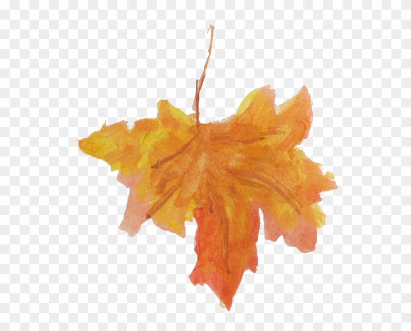 Leaf Falling 2 - Maple Leaf Clipart #3191821