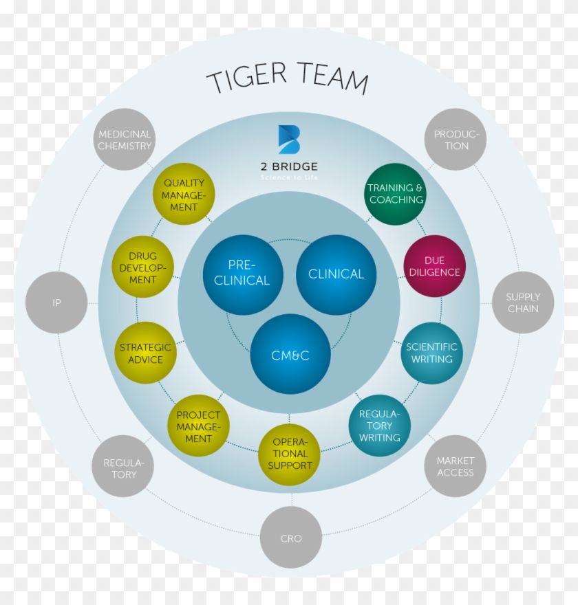 What A Tiger Team Can Do - Circle Clipart