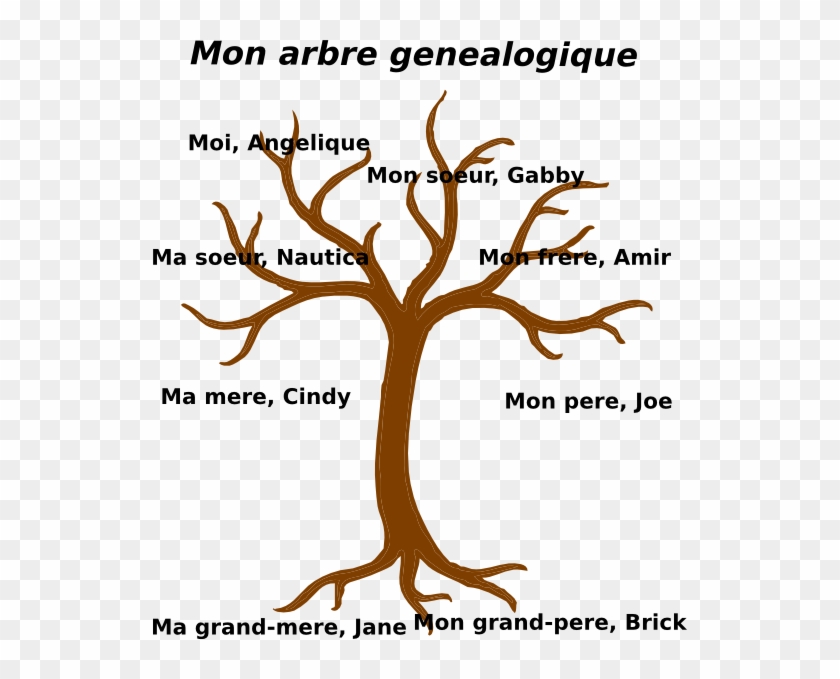 Cartoon Tree No Leaves Clipart