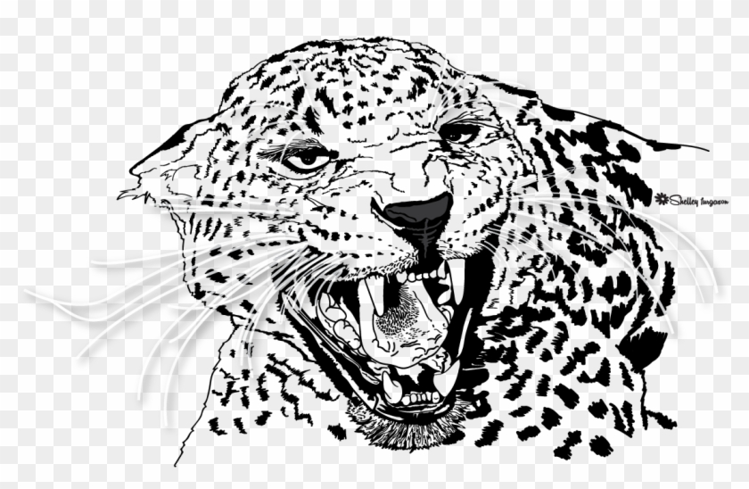 Leopard - Illustration Clipart