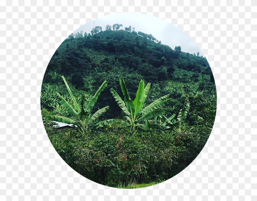 Hill , Png Download - Hill Clipart #3194864