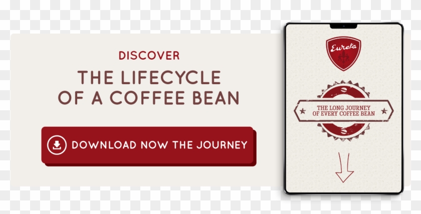 Download Lifecycle Coffee Bean - Eureka Grinder Clipart #3195705