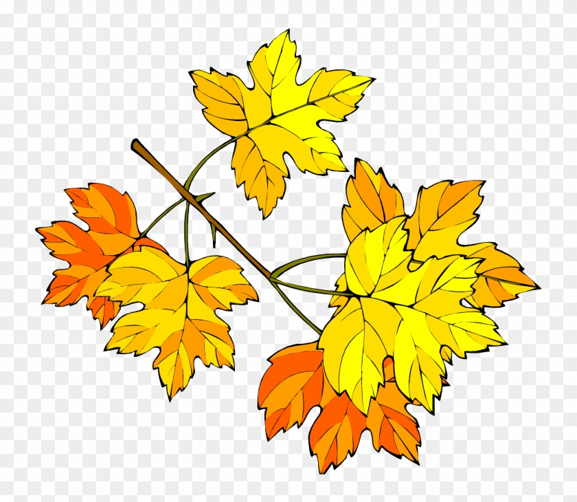 Leaf - Осенние Каникулы Рисунки Clipart
