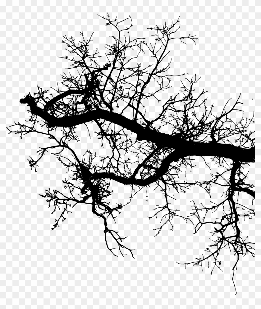 15 Tree Branch Silhouettes Png Transparent - Portable Network Graphics Clipart #3195866