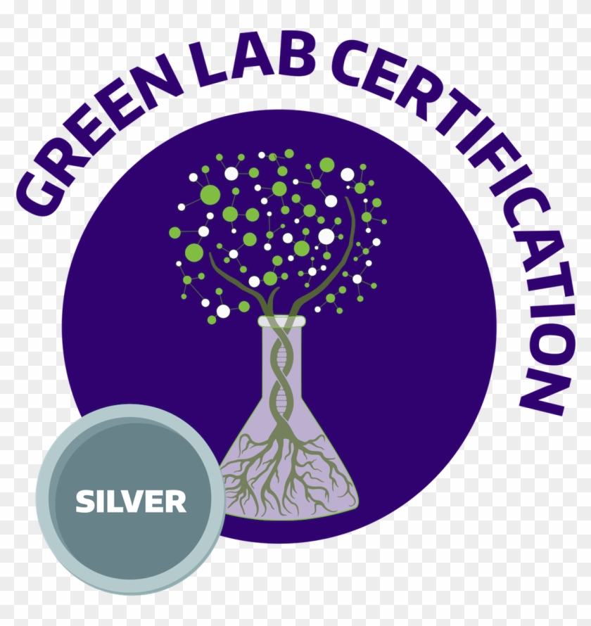 Green Lab Bronze Level, Green Lab Silver Level - Circle Clipart #3196031