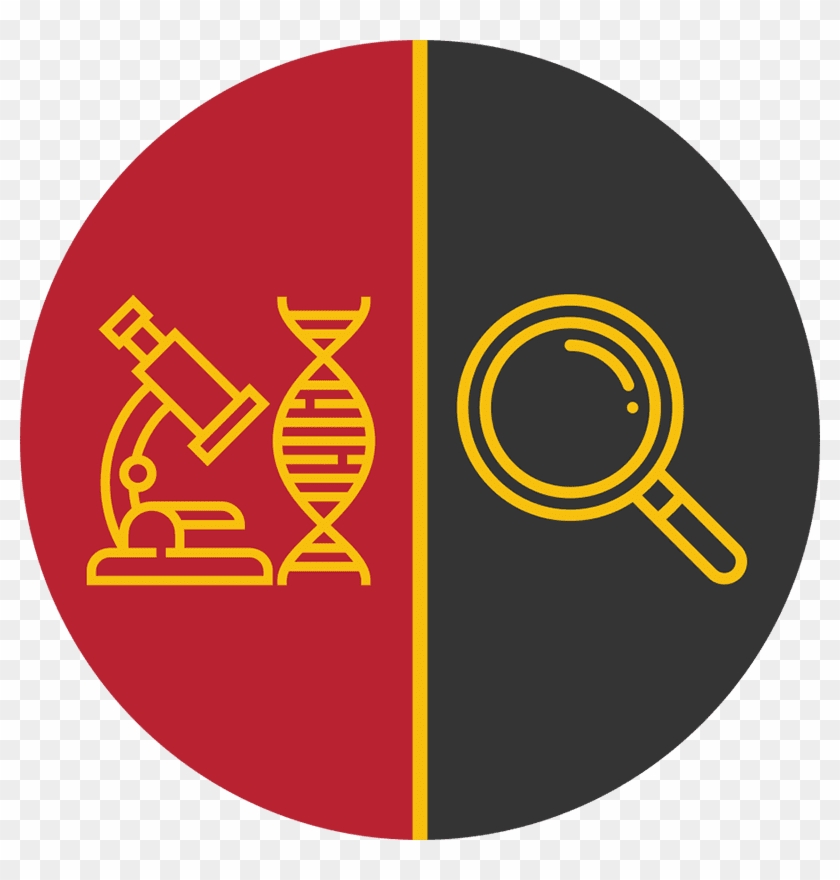 Graphic Of Microscope And Magnifying Glass Icon - Emblem Clipart #3196148