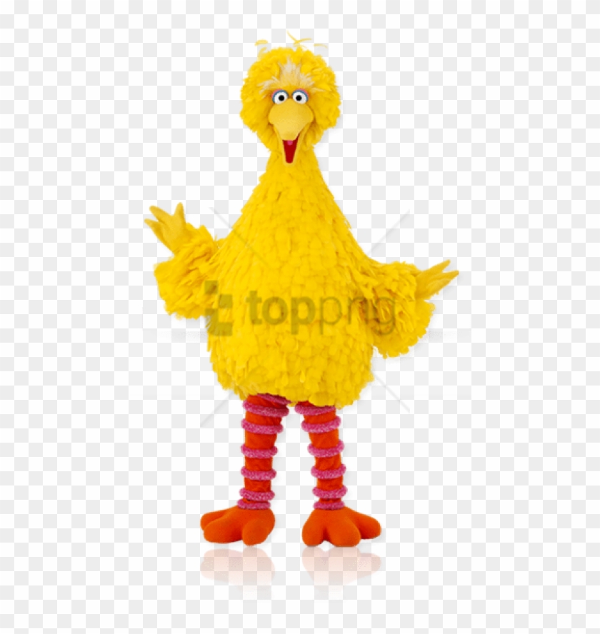 Free Png Big Bird High Resolution Png Image With Transparent - Big Bird Png Clipart #3196356