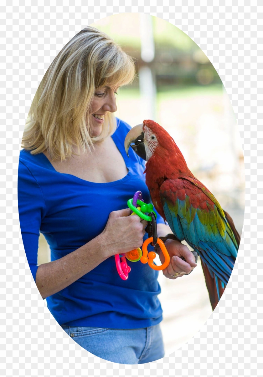 Big Bird With Her - Macaw Clipart