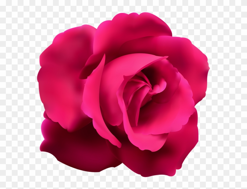 Discover Ideas About Blue Roses - Pink Rose Clip Art - Png Download
