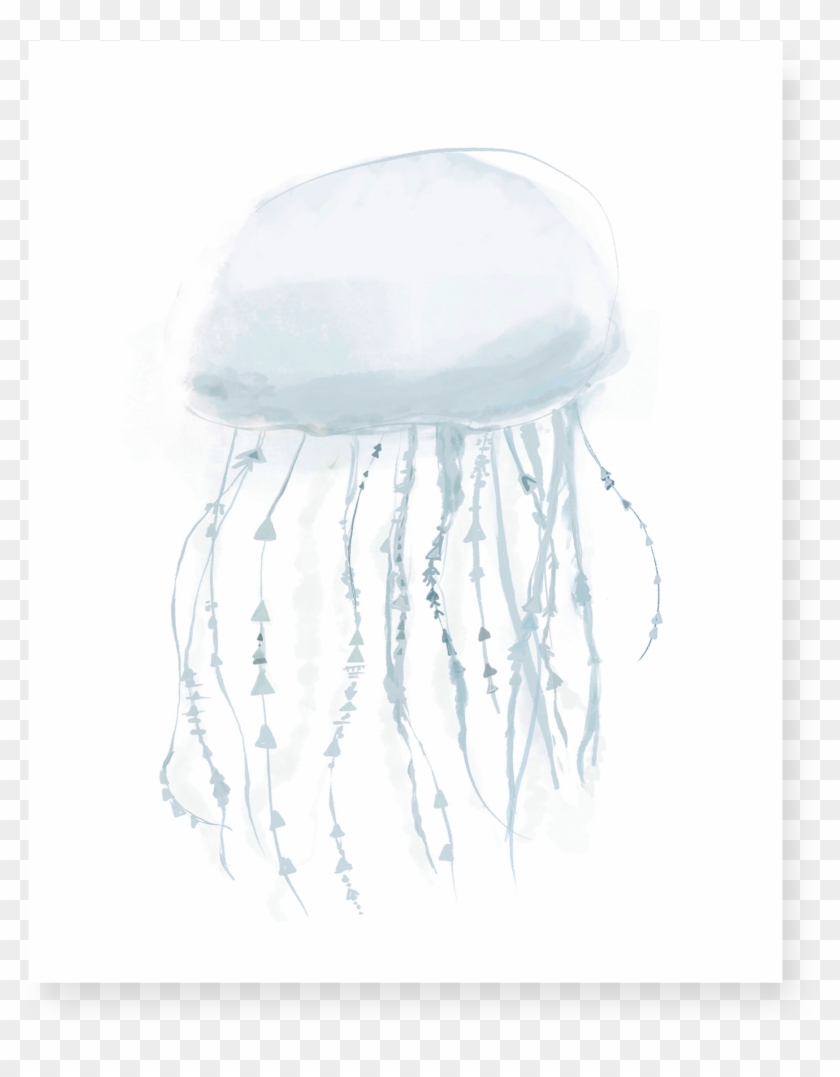 Jellyfish Png Clipart
