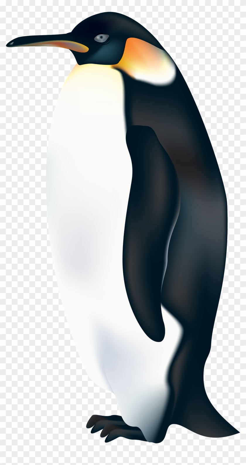 Acrasy Clipart Black And White 1 Penguin Clip Art Car - Emperor Penguin Penguin Clipart - Png Download