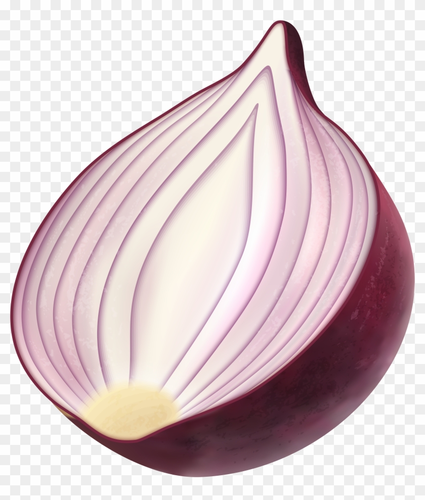 Red Onion Png Clip Art Image - Red Onion Transparent Png