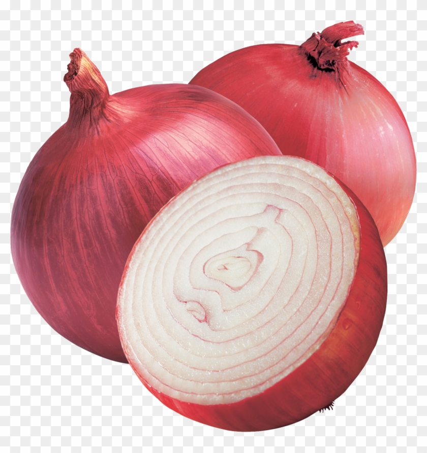Onion Png Image - Transparent Background Onion Png Clipart #320546